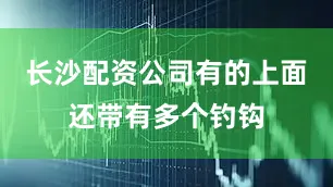 长沙配资公司有的上面还带有多个钓钩