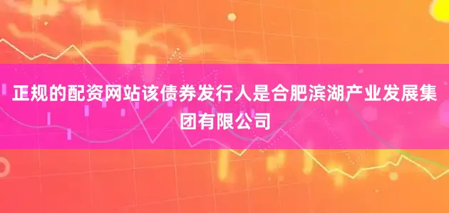正规的配资网站该债券发行人是合肥滨湖产业发展集团有限公司