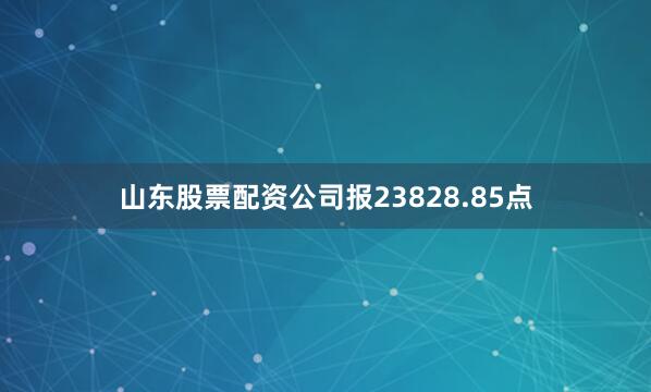 山东股票配资公司报23828.85点