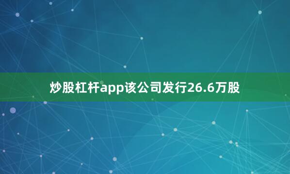 炒股杠杆app该公司发行26.6万股