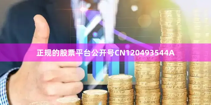 正规的股票平台公开号CN120493544A